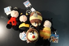 Nici Bienen Set – 4