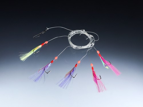 Balzer edition sea - edition,