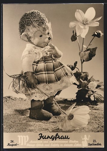 Ansichtskarte mecki frau mit - mecki-frau,