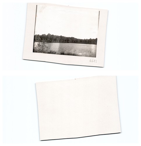 Danzig 1903 - ,