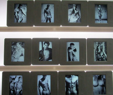 GAY VINTAGE DIAS  - 12 x  GAY