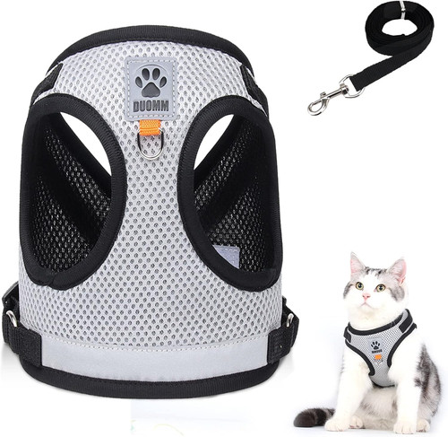 Katzenleine set für - katzenleine,