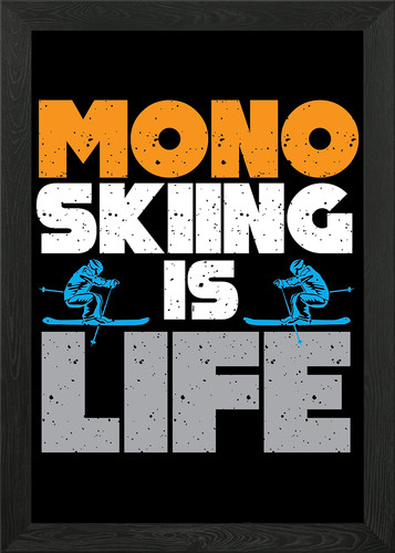 Monoski funny mono - monoski, ski