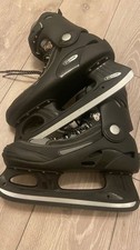 Die Schlittschuhe