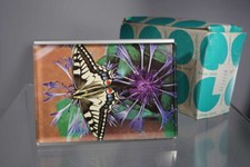 vintage Busse Design Ulm Visopan 8/12/10 Acryl/Alu  Bilderrahmen - Schmetterling