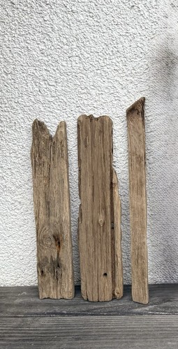 Treibholz schwemmholz - treibholz,