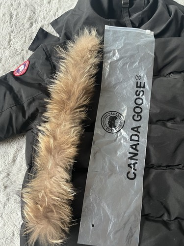 Canada goose arctic program - goose,