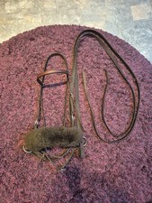 Sidepull Trense und Offene