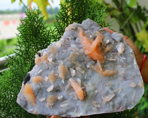 Orange stilbite auf blauem - orange,