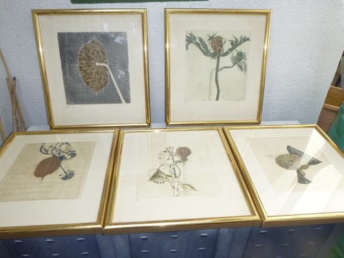 Farbradierungen von brigitte - farbradierungen,