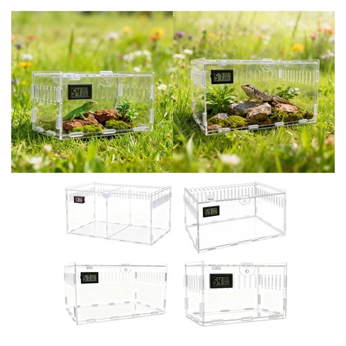 Jumping spider enclosure acryl - jumping,