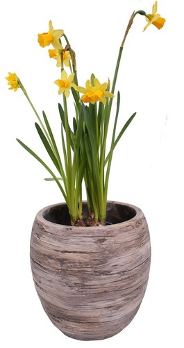 Pflanztopf 013 holzoptik - 013,