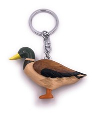 Erpel Ente Stockente süß