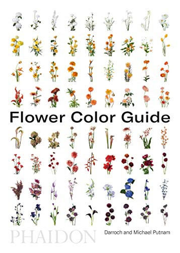 Flower color guide - flower,