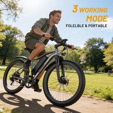 26 Zoll E-Bike 250W