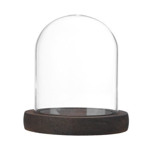 Cloche glaskuppel x - 3,9, 3,1