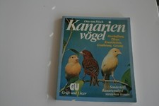 Kanarienvögel - das nötige Wissen zur Haltung