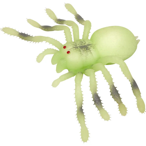 Nachtleuchtende riesenspinne - nachtleuchtende,