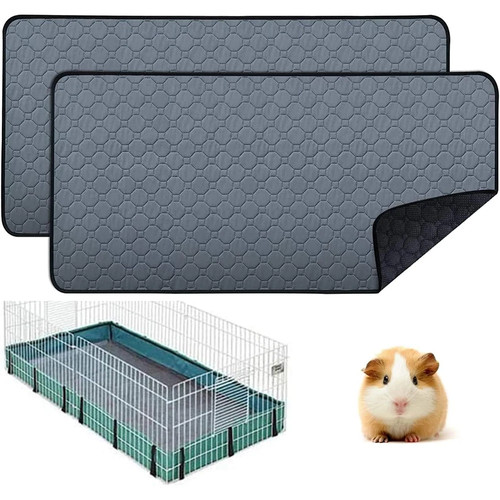 Waschbare meerschweinchen - waschbare,