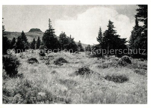 Freiwaldau tschechien - freiwaldau,