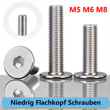 M5 M6 M8 Niedrig Flachkopf