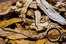 Tabakblätter ''Virginia FCV "