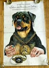 Michael Mathias Prechtl