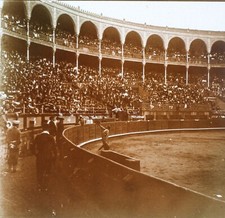 Torero Spanien 1909 Foto