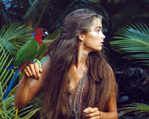 Brooke shields 1001596 8x10 - [1001596],