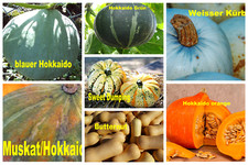 17 verschiedene Kürbis-lang