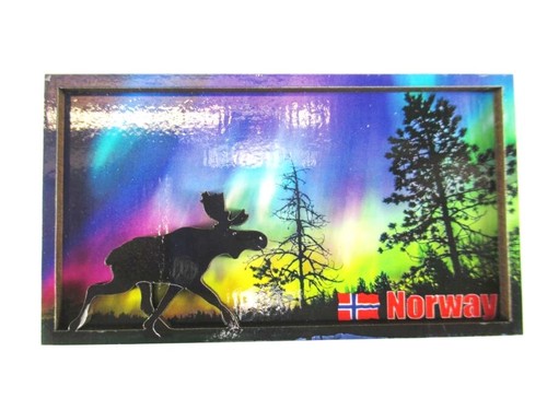 Norwegen elch polarlichter - norwegen, 9