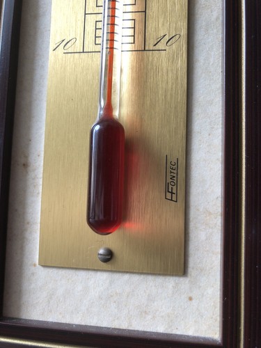Vintage plaque thermomètre - plaque,