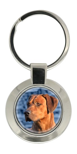 Rhodesian ridgeback - rhodesian,