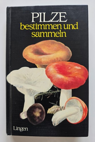 Pilze bestimmen und sammeln