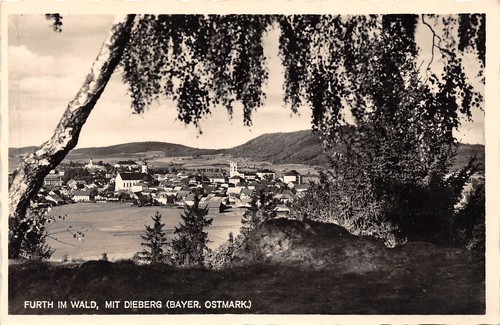 Furth wald panorama mit - im,