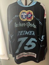straubing tigers