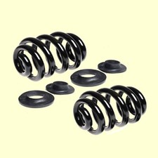 2 verstärkte Federn Fahrwerksfeder hinten für VW T5 T6 bis Achslast 1720 kg