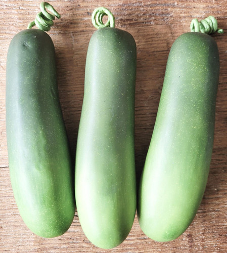Zuccini deko attrappen - 3,