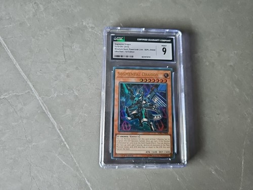 Segmental dragon oh - segmental,