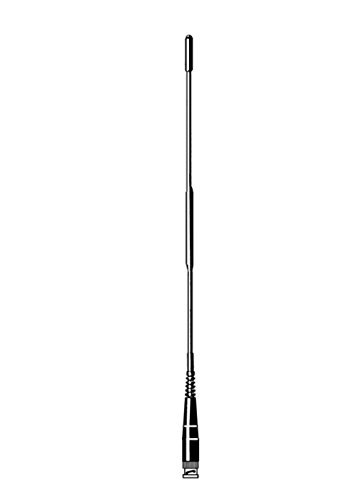 Maxiscan bnc - ae,
