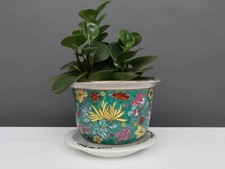 Blumentopf mit Untersetzer aus