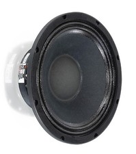 Visaton paw ohm 25 cm - 25,