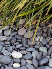 Beach Pebbles Schwarz / 5-8mm