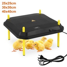Küken-Wärmeplatte