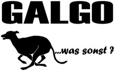 Aufkleber galgo sticker - aufkleber,