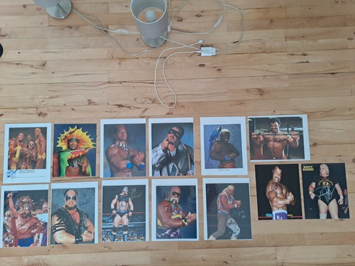 Wwf hasbro sammlung original - wwf,