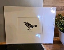 IKEA FJÄLLSTA ~ Bild Vogel mit Passepartout 30x40 cm Poster schwarz weiß NEU OVP