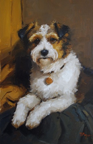 Original kunst ölgemälde - Ölgemälde,
