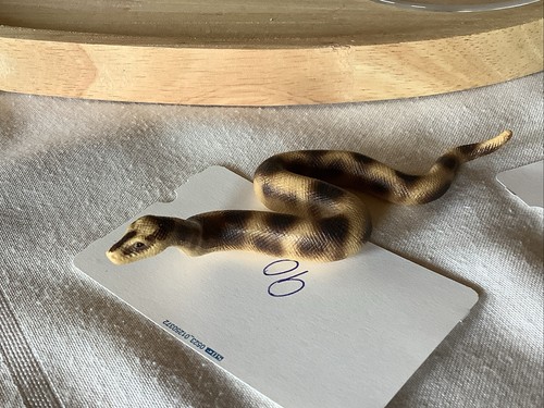 Schleich boa constrictor 14163 - schleich,