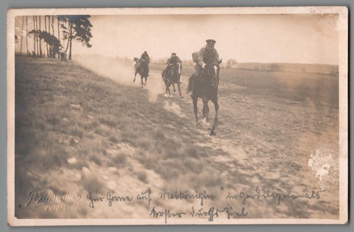 Foto reiter gardelegen - reiter,